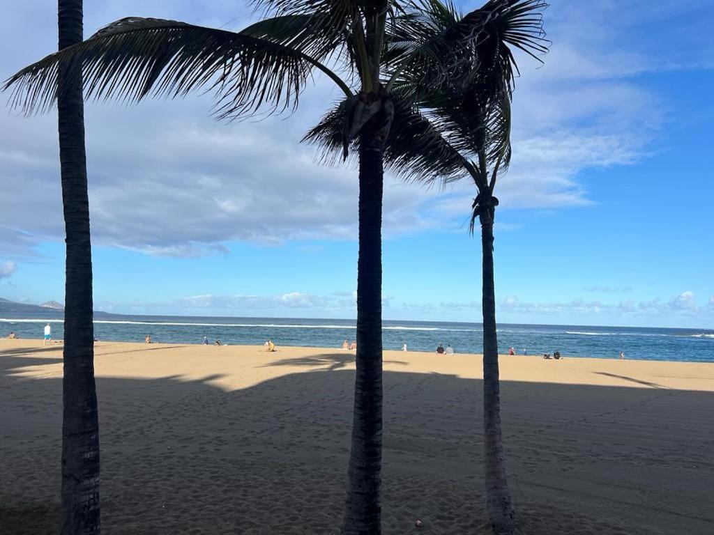 Las Canteras Con Alma 라스팔마스 외부 사진